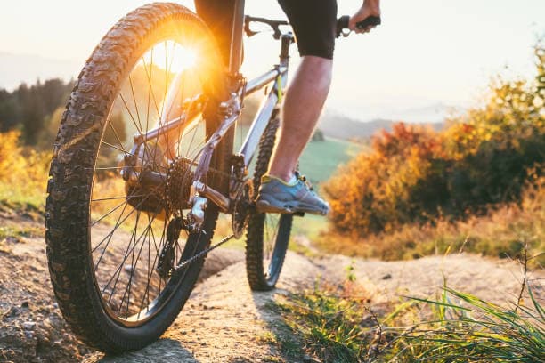 Cyclocross